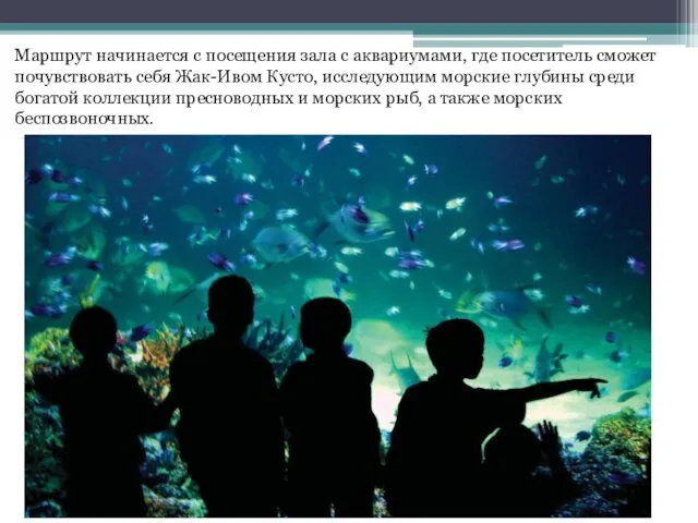 Маршрут начинается с посещения зала с аквариумами, где посетитель сможет почувствовать