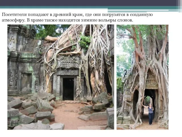 Посетители попадают в древний храм, где они погрузятся в созданную атмосферу.
