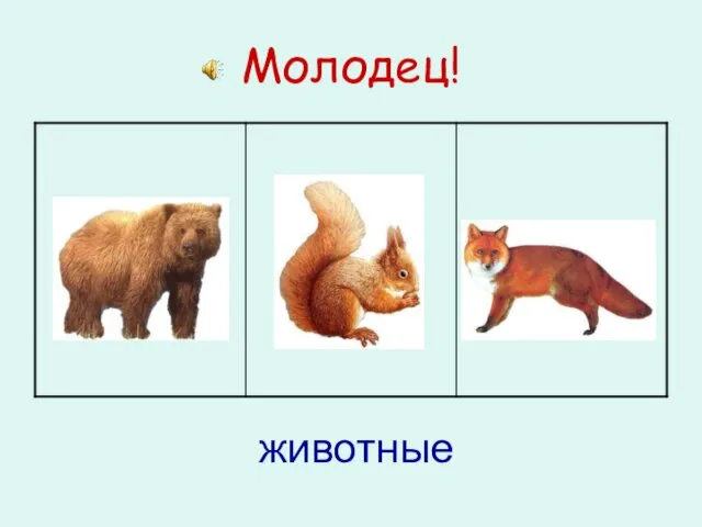 Молодец! животные