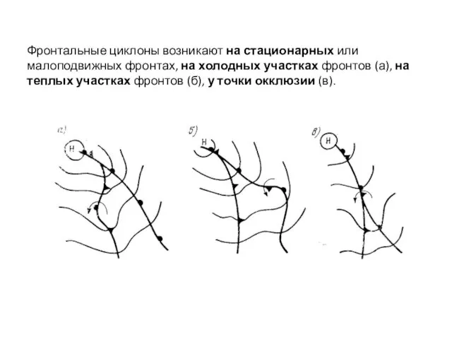 Фронтальные циклоны возникают на стационарных или малоподвижных фронтах, на холодных участках