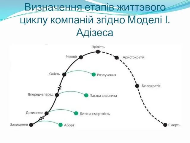 Визначення етапів життэвого циклу компаній згідно Моделі І. Адізеса