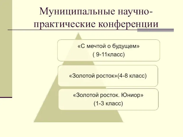 Муниципальные научно-практические конференции