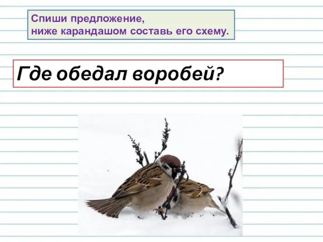 Где обедал воробей? Спиши предложение, ниже карандашом составь его схему.