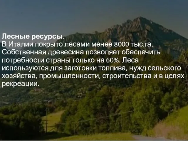 Лесные ресурсы. В Италии покрыто лесами менее 8000 тыс.га. Собственная древесина