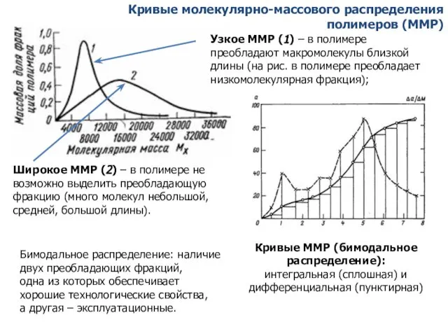 Кривые ММР (бимодальное распределение): интегральная (сплошная) и дифференциальная (пунктирная) Кривые молекулярно-массового