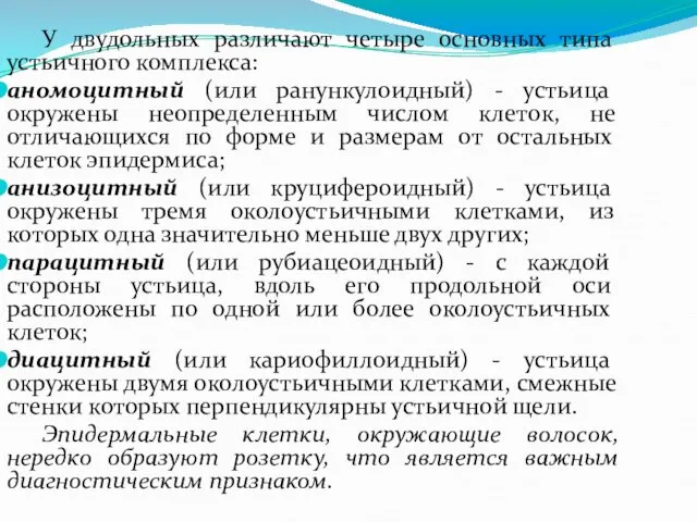 У двудольных различают четыре основных типа устьичного комплекса: аномоцитный (или ранункулоидный)