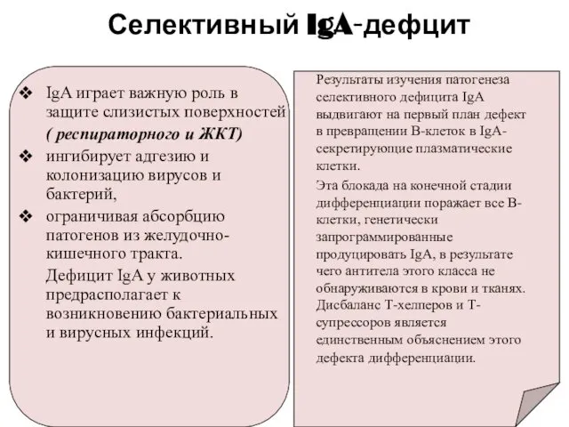 Селективный IgA-дефцит IgA играет важную роль в защите слизистых поверхностей (