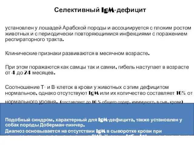 Селективный IgM-дефицит установлен у лошадей Арабской породы и ассоциируется с плохим