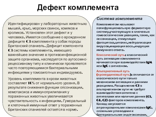 Дефект комплемента Идентифицирован у лабораторных животных: мышей, крыс, морских свинок, хомяков