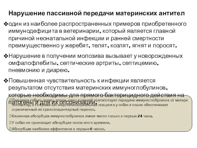 Нарушение пассивной передачи материнских антител один из наиболее распространенных примеров приобретенного