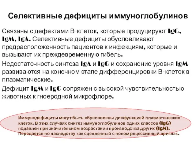 Селективные дефициты иммуноглобулинов Связаны с дефектами В-клеток, которые продуцируют IgG, IgM,