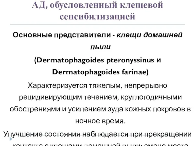 АД, обусловленный клещевой сенсибилизацией Основные представители - клещи домашней пыли (Dermatophagoides