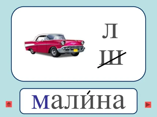 л ш малина