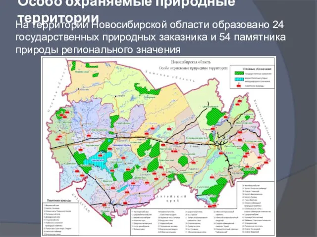 Особо охраняемые природные территории На территории Новосибирской области образовано 24 государственных