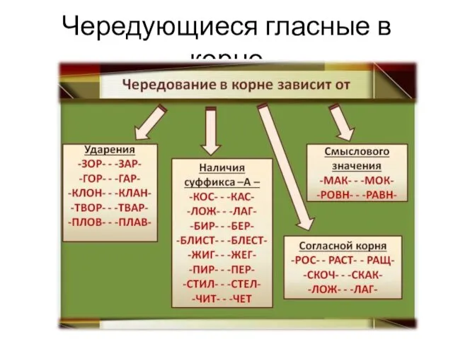 Чередующиеся гласные в корне