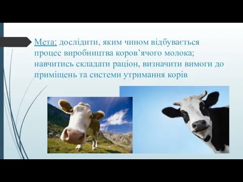Мета: дослідити, яким чином відбувається процес виробництва коров’ячого молока; навчитись складати