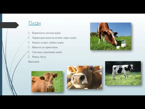 План Корисність молока корів Характеристика молочних порід корів Раціон годівлі дійних