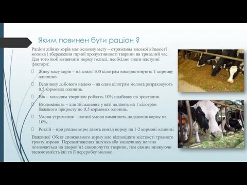 Яким повинен бути раціон ? Раціон дійних корів має основну мету