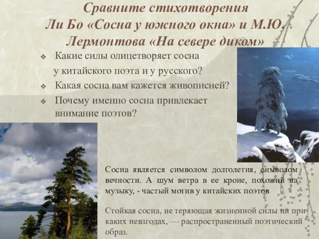 Сравните стихотворения Ли Бо «Сосна у южного окна» и М.Ю.Лермонтова «На