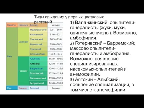 1) Валанжинский: опылители-генералисты (жуки, мухи, одиночные пчелы). Возможно, амбофилия. 2) Готеривский