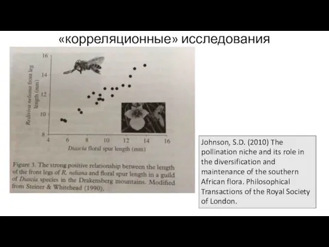 «корреляционные» исследования Johnson, S.D. (2010) The pollination niche and its role