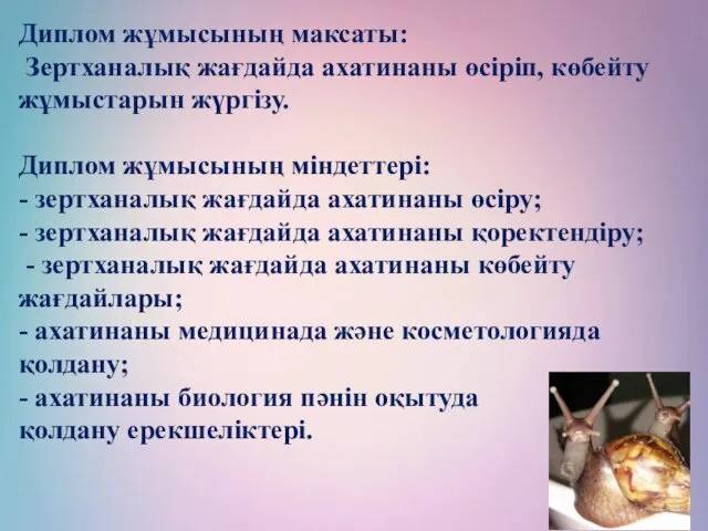 Диплом жұмысының максаты: Зертханалық жағдайда ахатинаны өсіріп, көбейту жұмыстарын жүргізу. Диплом