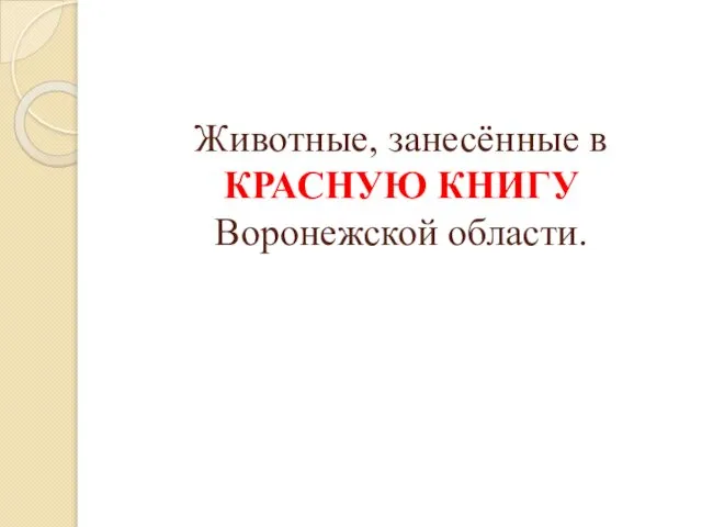 Животные, занесённые в КРАСНУЮ КНИГУ Воронежской области.