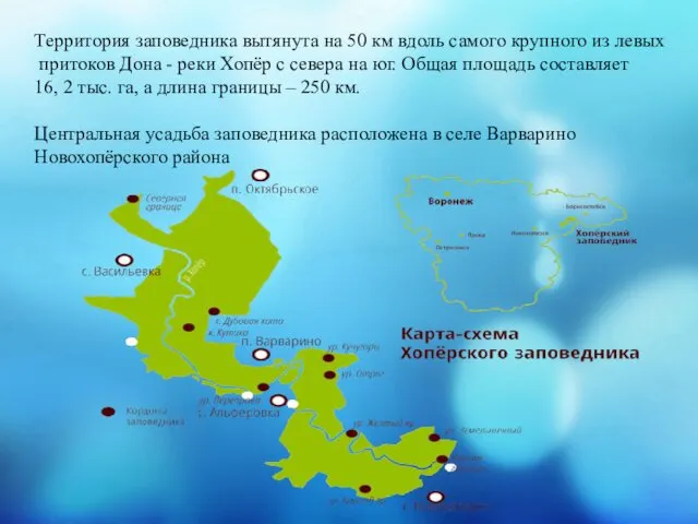 Территория заповедника вытянута на 50 км вдоль самого крупного из левых