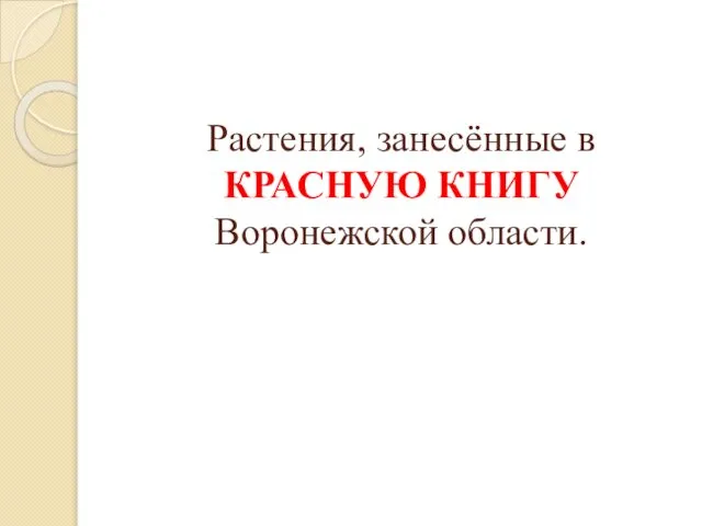 Растения, занесённые в КРАСНУЮ КНИГУ Воронежской области.