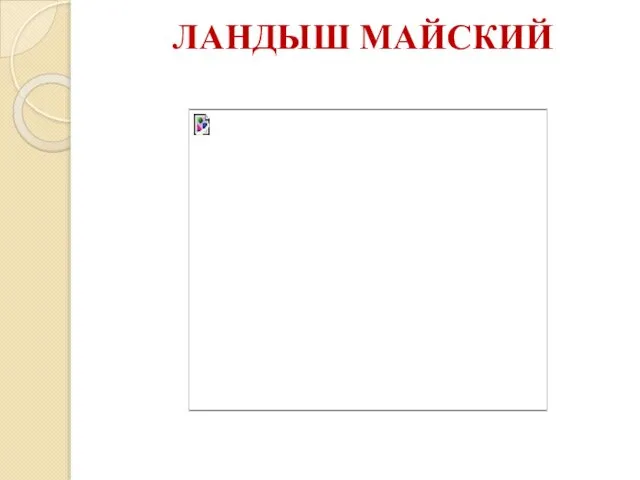 ЛАНДЫШ МАЙСКИЙ