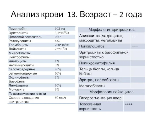 Анализ крови 13. Возраст – 2 года