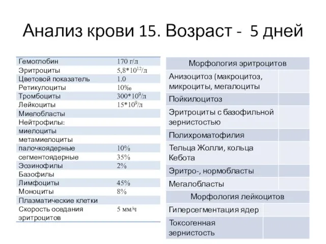 Анализ крови 15. Возраст - 5 дней