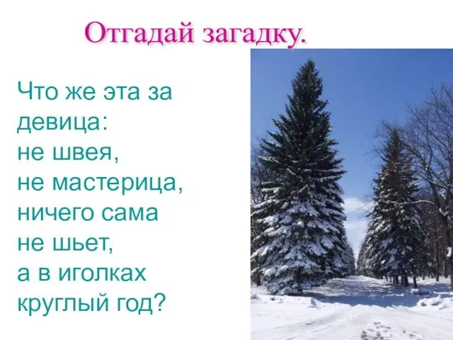 Отгадай загадку. Что же эта за девица: не швея, не мастерица,