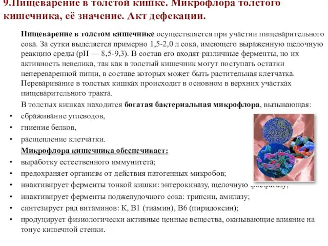 9.Пищеварение в толстой кишке. Микрофлора толстого кишечника, её значение. Акт дефекации.