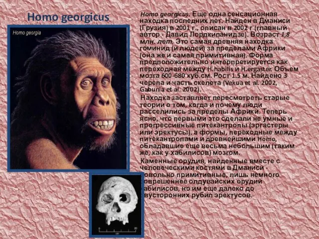 Homo georgicus Homo georgicus. Еще одна сенсационная находка последних лет. Найден