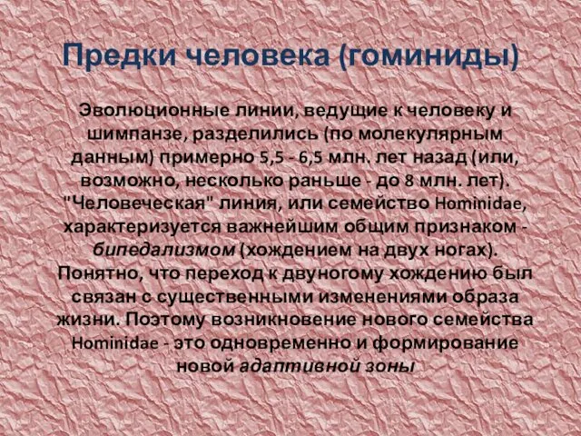 Предки человека (гоминиды) Эволюционные линии, ведущие к человеку и шимпанзе, разделились