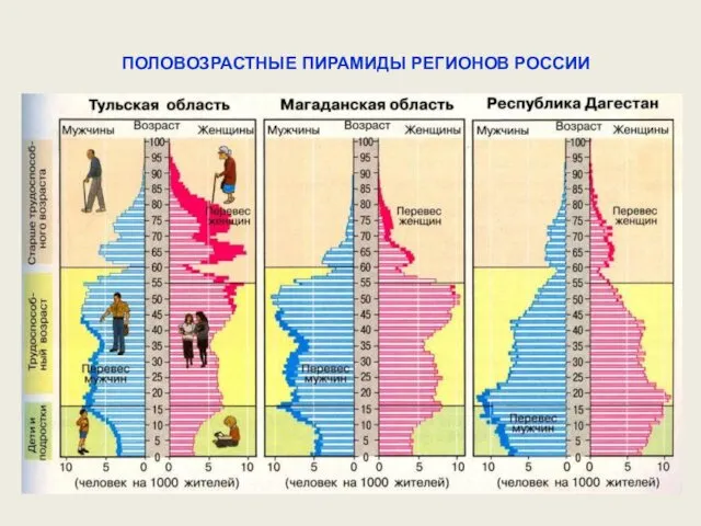 ПОЛОВОЗРАСТНЫЕ ПИРАМИДЫ РЕГИОНОВ РОССИИ