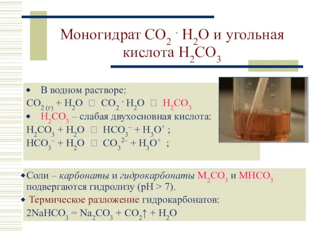 Моногидрат CO2 . H2O и угольная кислота H2CO3 В водном растворе: