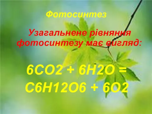 Фотосинтез Узагальнене рівняння фотосинтезу має вигляд: 6СО2 + 6Н2О = С6Н12О6 + 6О2