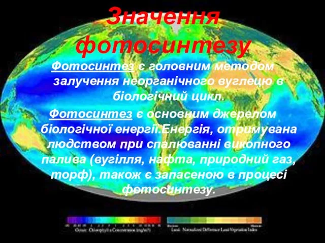 Значення фотосинтезу Фотосинтез є головним методом залучення неорганічного вуглецю в біологічний