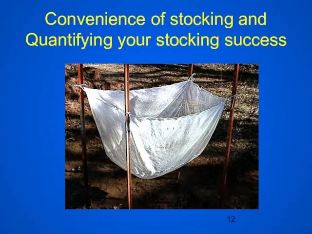 Convenience of stocking and Quantifying your stocking success