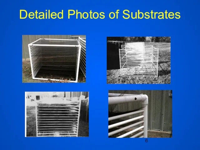 Detailed Photos of Substrates