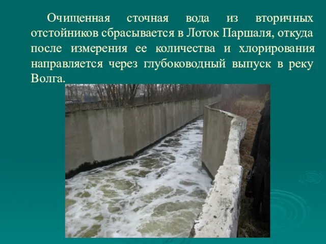 Очищенная сточная вода из вторичных отстойников сбрасывается в Лоток Паршаля, откуда