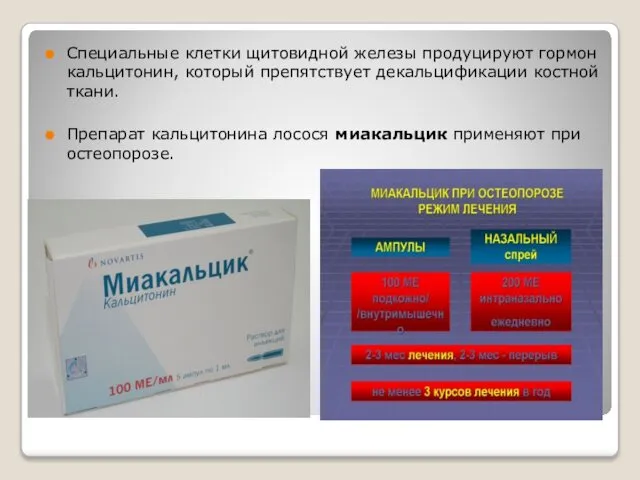 Специальные клетки щитовидной железы продуцируют гормон кальцитонин, который препятствует декальцификации костной