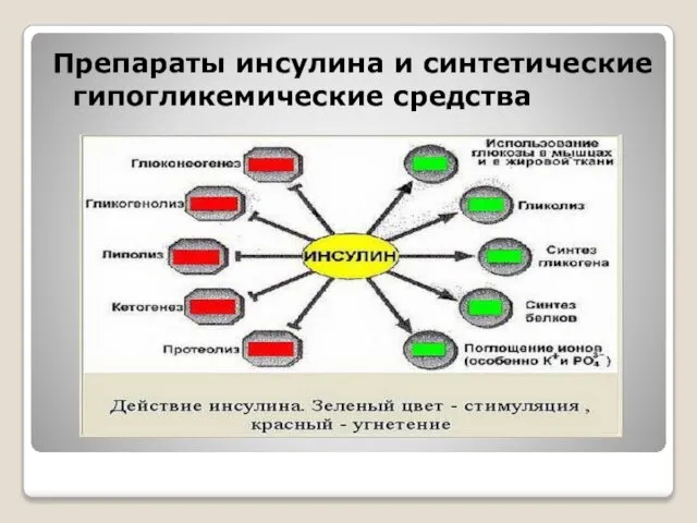 Препараты инсулина и синтетические гипогликемические средства