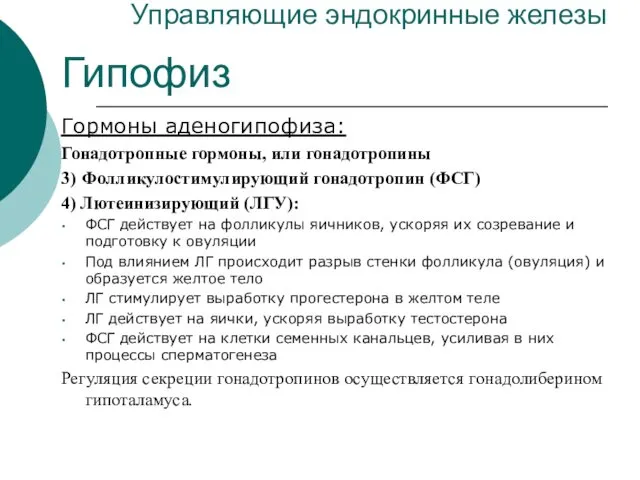 Управляющие эндокринные железы Гипофиз Гормоны аденогипофиза: Гонадотропные гормоны, или гонадотропины 3)