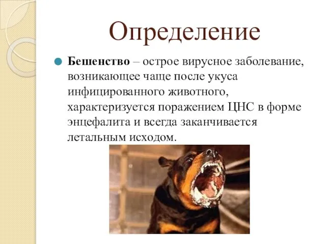 Определение Бешенство – острое вирусное заболевание, возникающее чаще после укуса инфицированного