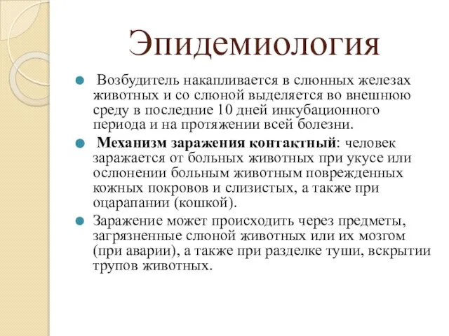 Эпидемиология Возбудитель накапливается в слюнных железах животных и со слюной выделяется