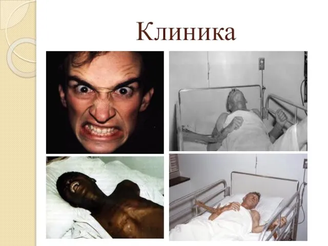 Клиника