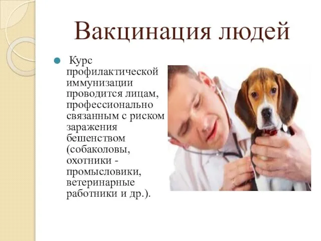 Вакцинация людей Курс профилактической иммунизации проводится лицам, профессионально связанным с риском